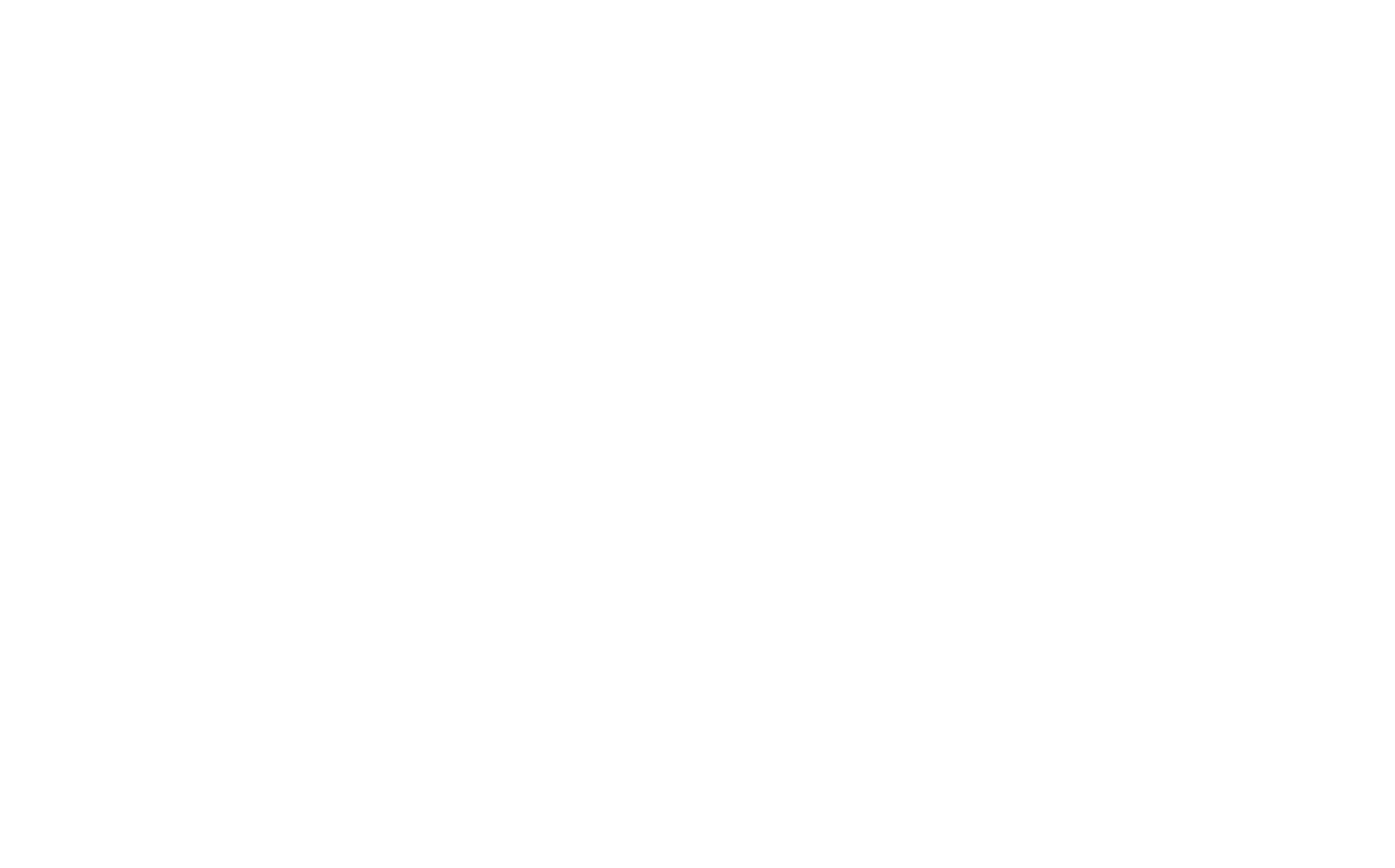 Logo Anita Quiroz-03
